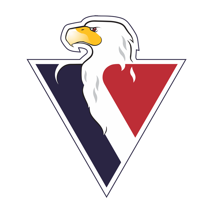 Falcões
